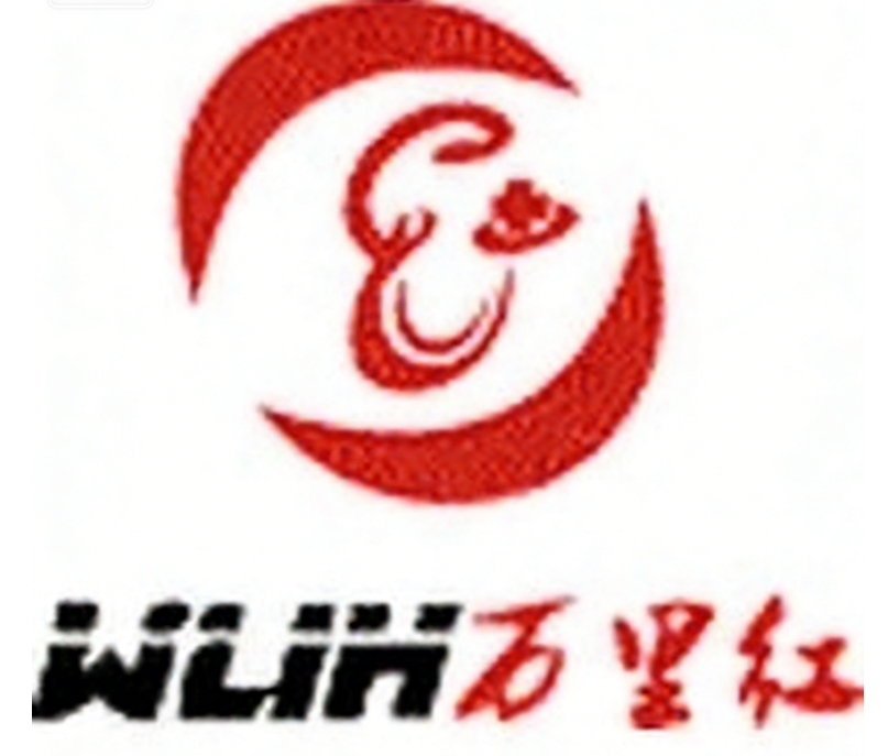 山东万里红信息技术有限公司